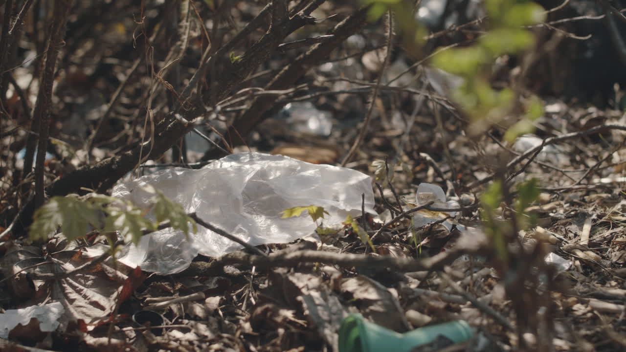 Plastic Waste under Bushes in Forest
