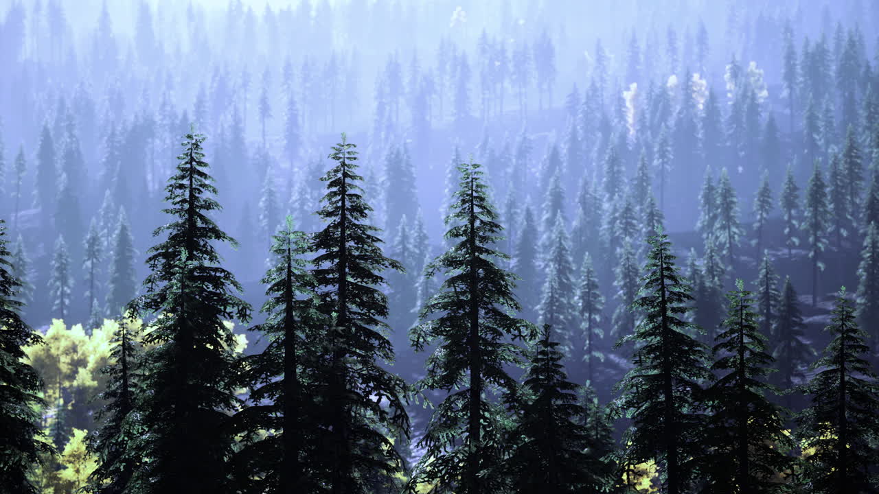 Lush green forest under soft morning light with misty mountains in distance