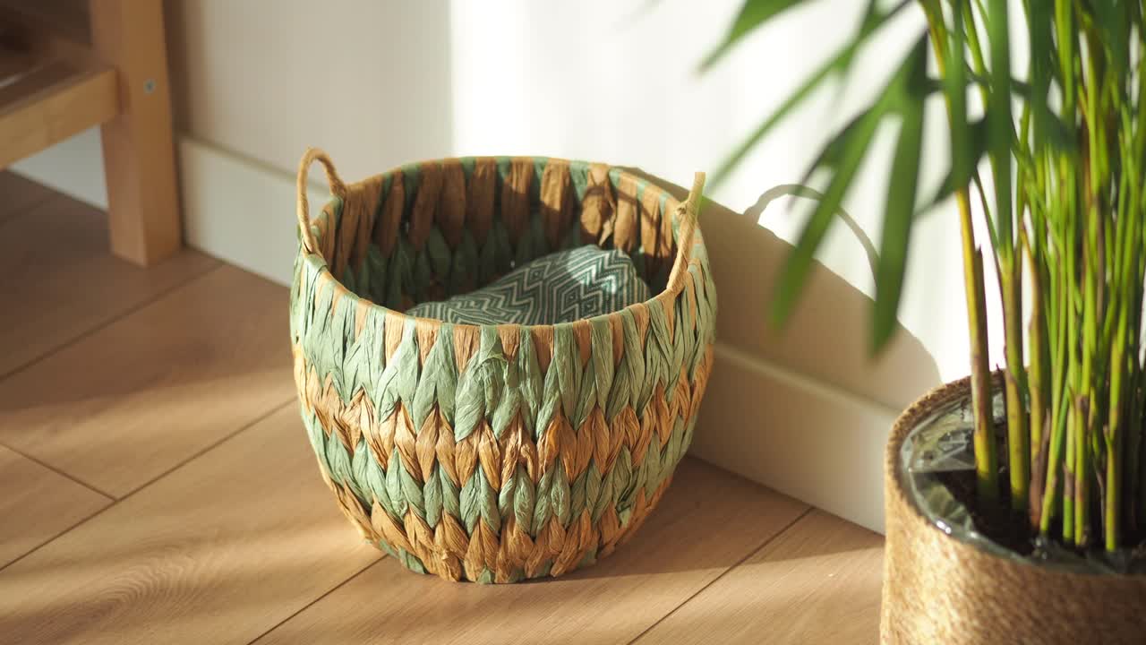 A decorative woven basket and a houseplant on a wooden floor in a sunlit room