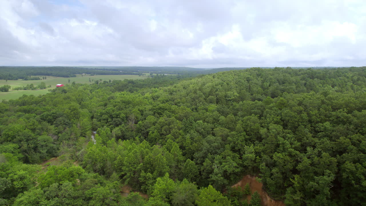 subida suave sobre los bosques en el campo en un bonito día de verano
