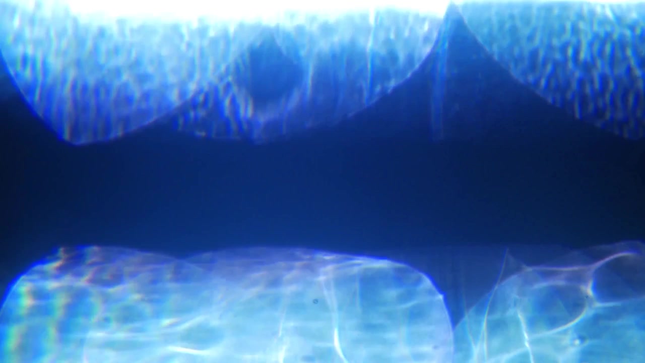Perdite di luce blu astratte e bagliori su sfondo nero