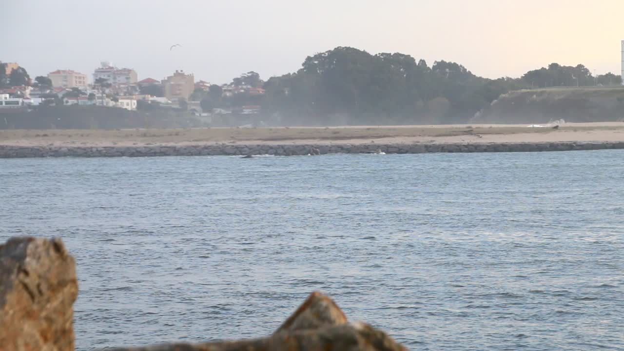 el estuario del río duero en una noche fría