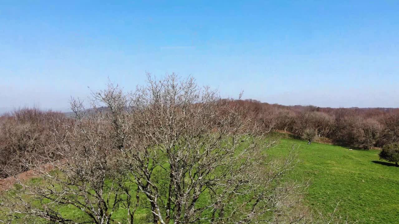 화창한 날 영국 데본 잉글랜드의 헴버리 요새가 내려다보이는 공중 상승 샷