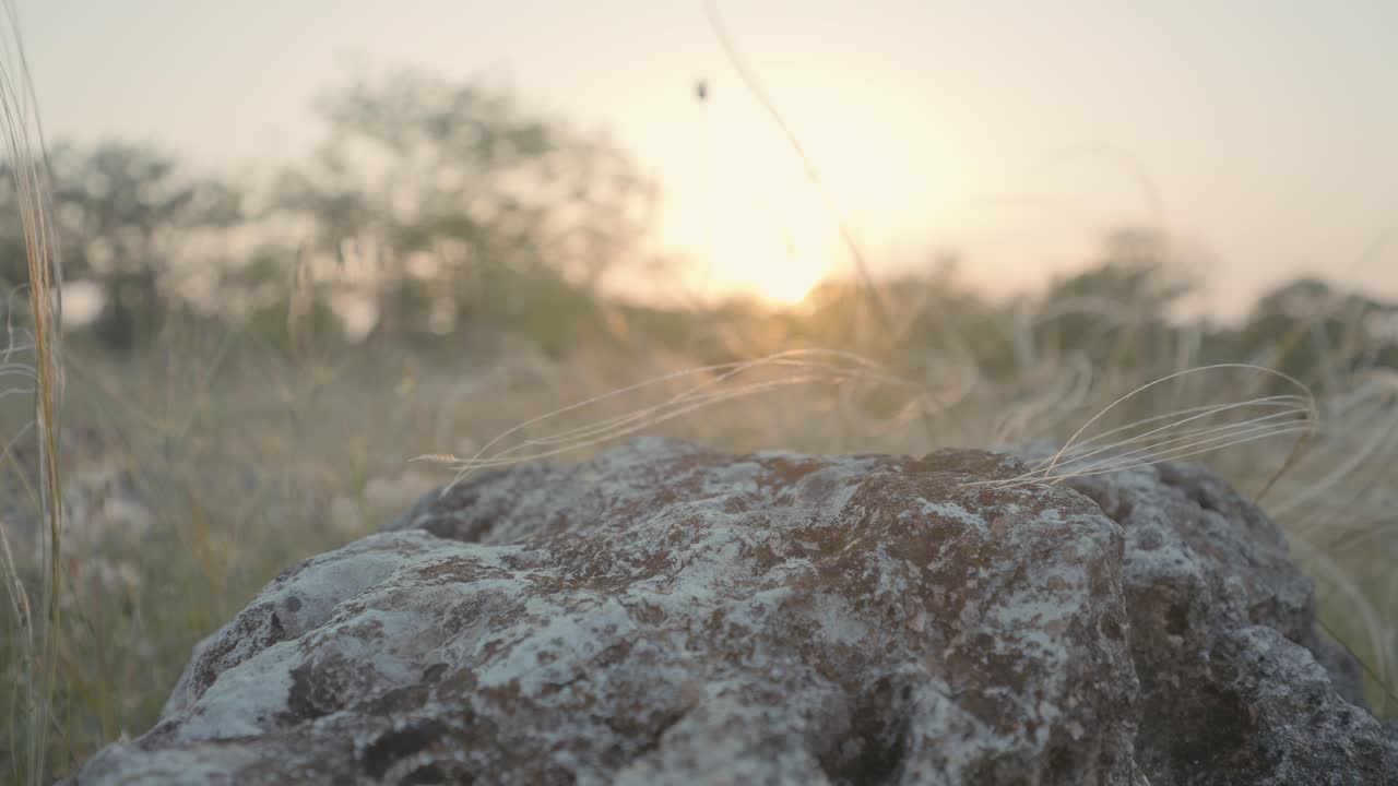 바위 와 함께 잔디 들판 위 에 해 가 지는 것