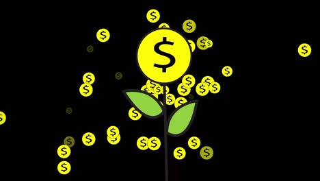 ilustración de video de un árbol de dinero creciendo y dando fruto, dinero cayendo como una lluvia de un árboles de dinero en un fondo negro, 4k 60 fps