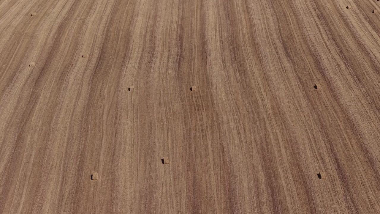 Omfattende dronevideo fanger enorme gyldne Alentejo-landbrugsjord med pæne høballer, tekstureret jord og blide naturlige linjer under blødt dagslys – slående luftoptagelser ideel til landbrugsprojekter