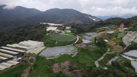 vista general del paisaje del distrito de brinchang dentro del área de cameron highlands de malasia