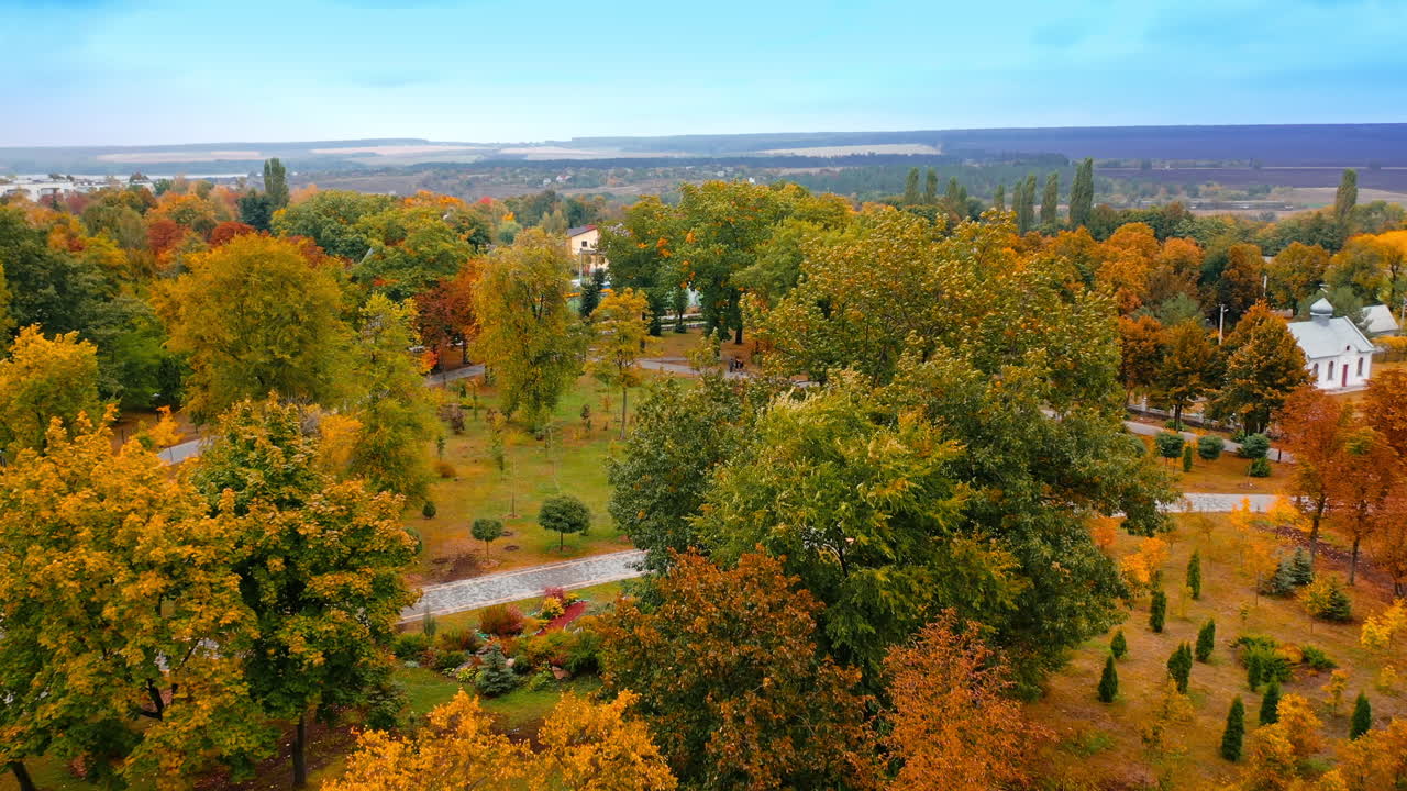 Multi-colored trees swaying in the wind in the city park. Beautiful nature in autumn season from aerial view.