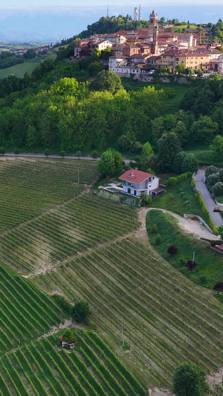 Ripresa aerea con drone dall'alto: panoramica su rigogliosi vigneti verdi verso un borgo italiano storico in collina.