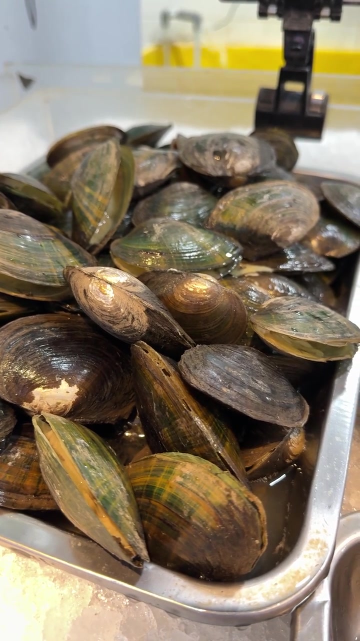 Fresh Raw Clams Displayed on Ice at a Seafood Market