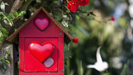 red heart-shaped decorated wooden house box in garden