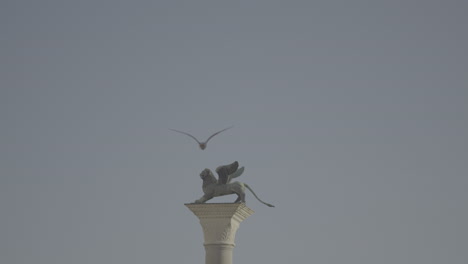 winged lion statue on column in venice