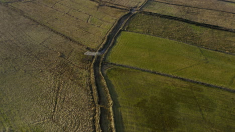 dynamic aerial dolly of ardmore island in clifden, connemara, showcasing its divided fields used for grazing and farming