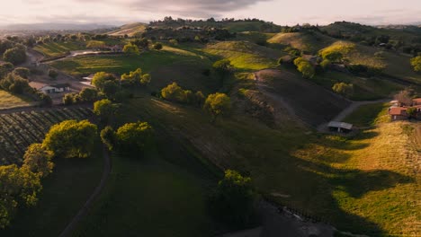 aerial footage of gorgeous rolling hills in santa ynez wine country, vineyards and estates with lush trees and green grass