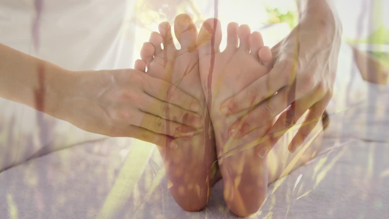 medio ambiente y bienestar