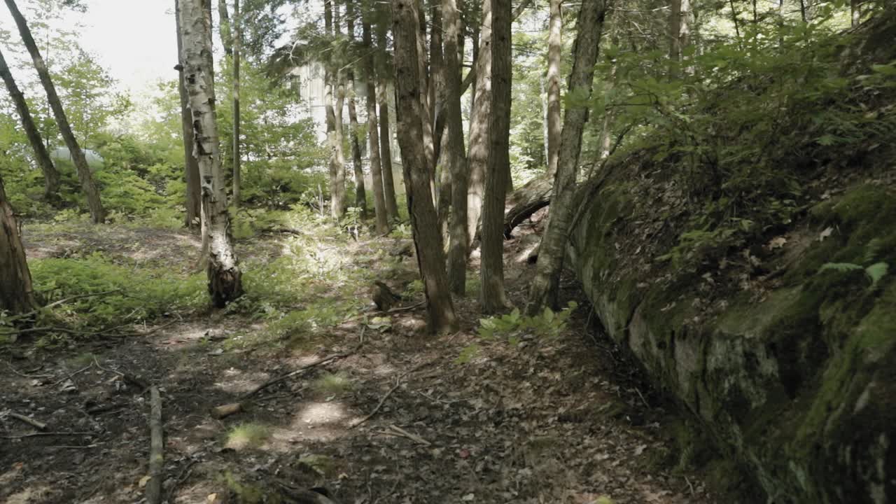 Magnifica foresta muschiosa con un enorme masso di pietra nelle colline di Gatineau presso la proprietà della location per matrimoni Le Belvedere a Wakefield, Quebec