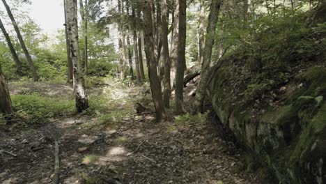 gorgeous mossy forest with a massive stone boulder in the gatineau hills at le belvedere wedding venue property in wakefield, quebec