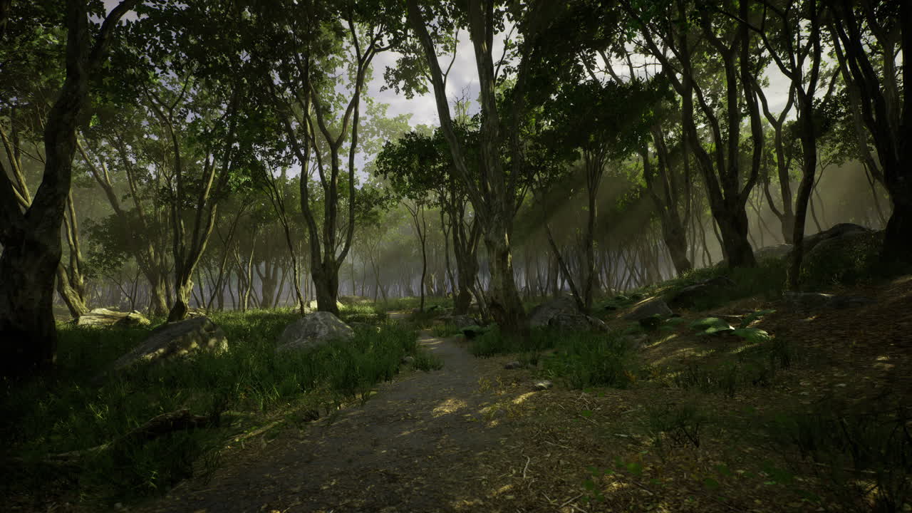 Enchanted forest path winding through ancient trees during golden hour