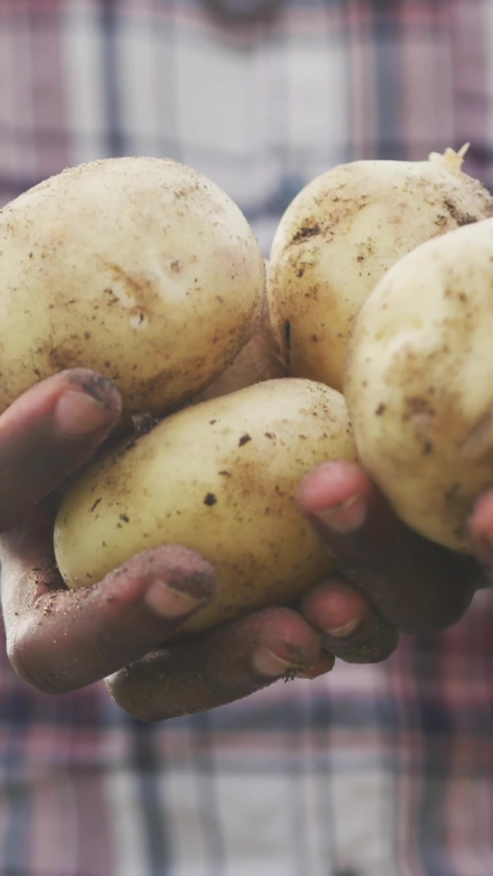 Animazione di stelle rosse, blu e bianche su un agricoltore afroamericano che raccoglie patate