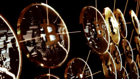 Bitcoins stored in a digital wallet.
