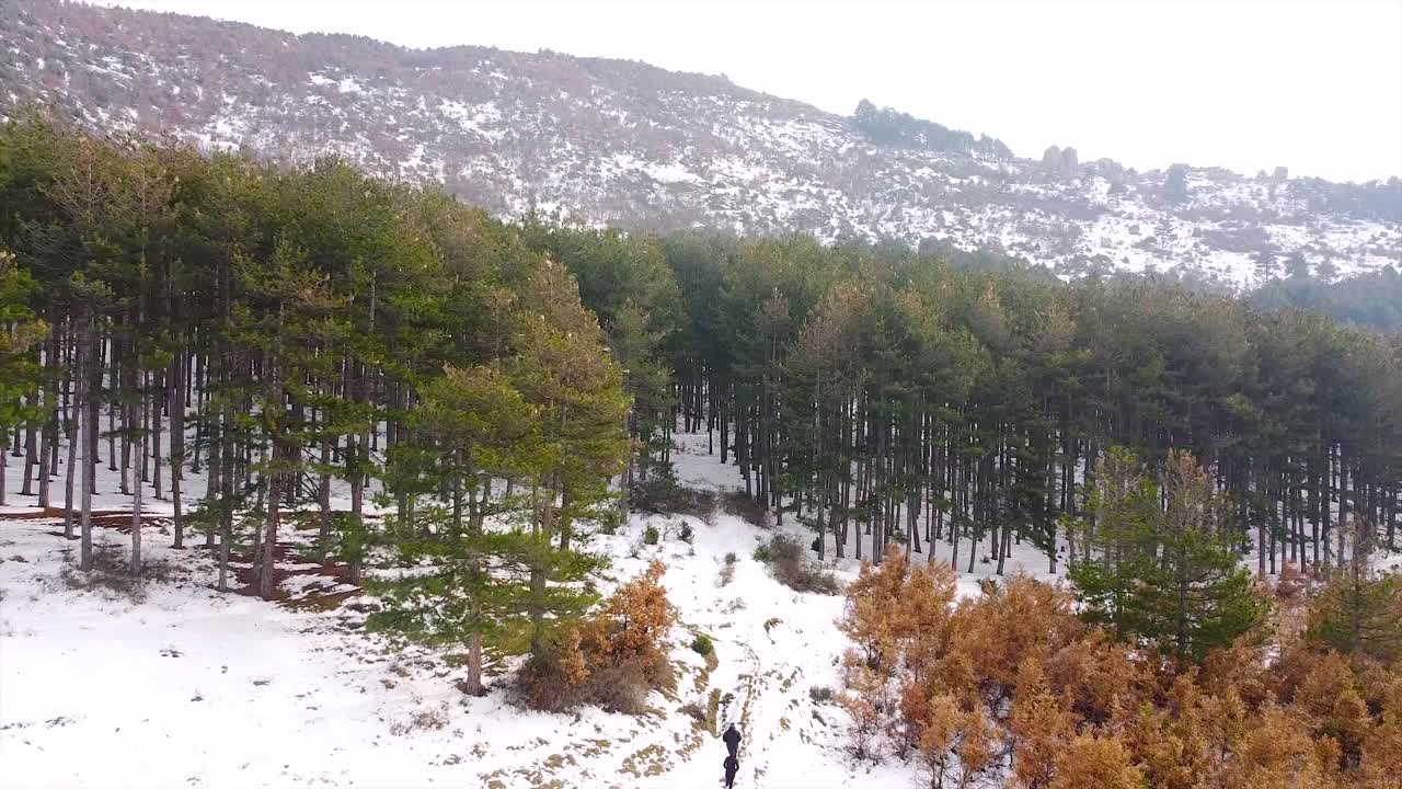 gente corriendo en la naturaleza en invierno tiro con drones