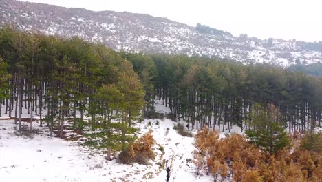 People-running-in-nature-in-winter-drone-shot