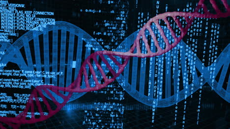 Verarbeitung-Wissenschaftlicher-Daten,-DNA-Strang-Und-Binäre-Kodierungsanimation