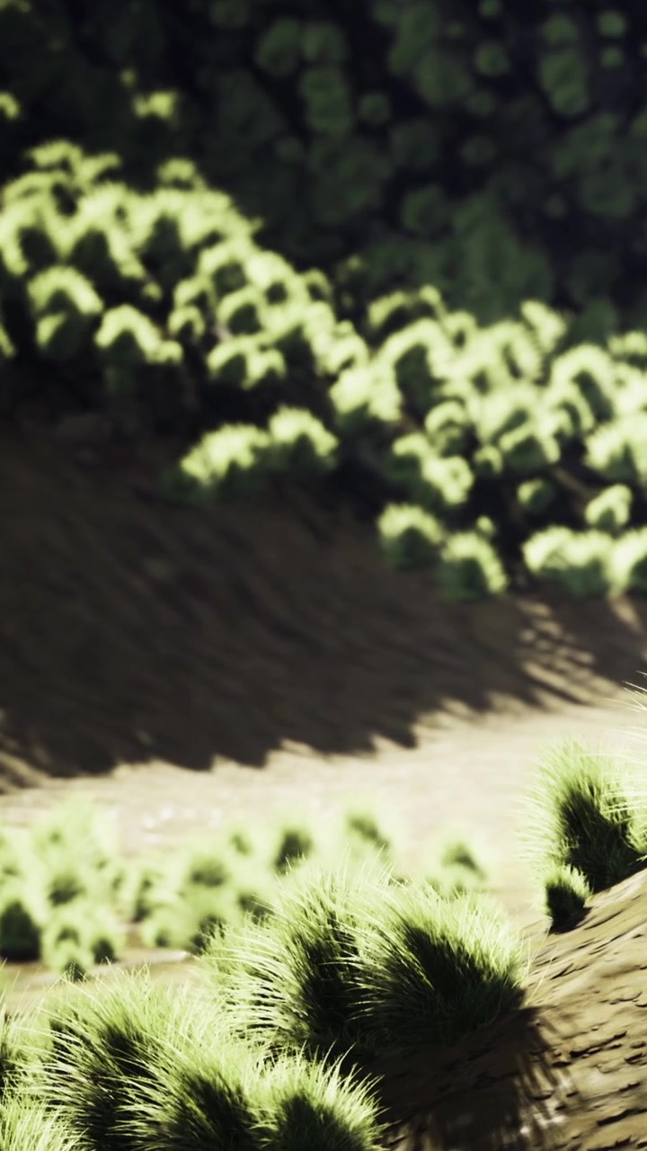 Lush green grass covers hills and creates patterns of light and shadow