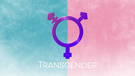animation of transgender text banner and symbol against blue and pink dual tone background