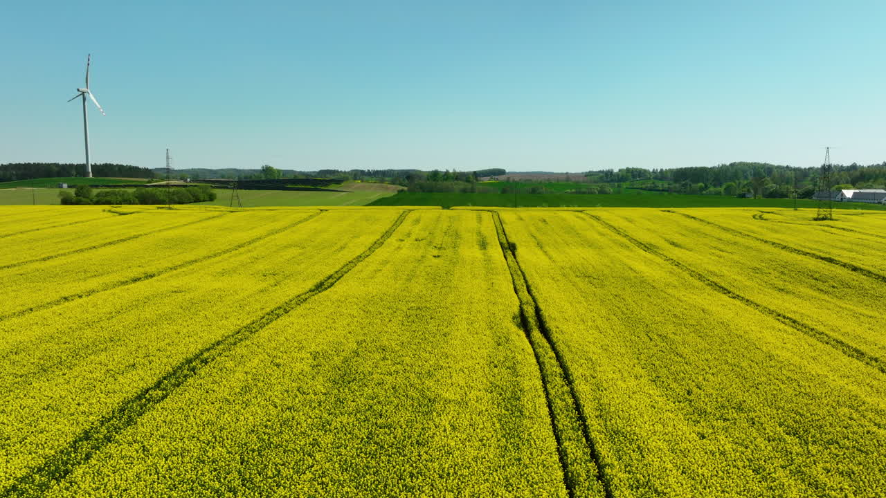 yellow crop fields with visible tracks in the field, and a wind turbine in the distance