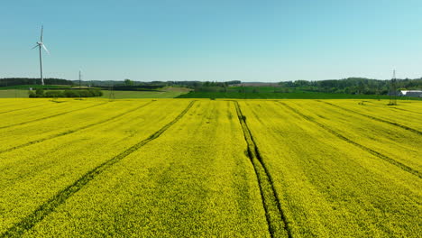 Campos-De-Cultivo-Amarillos-Con-Huellas-Visibles-En-El-Campo-Y-Una-Turbina-Eólica-En-La-Distancia