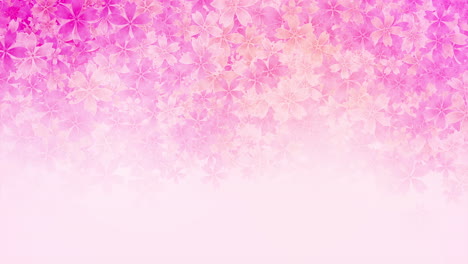 petals of pink flowers spa background. flying sakura cherry flower petals elements for romantic loop animation.