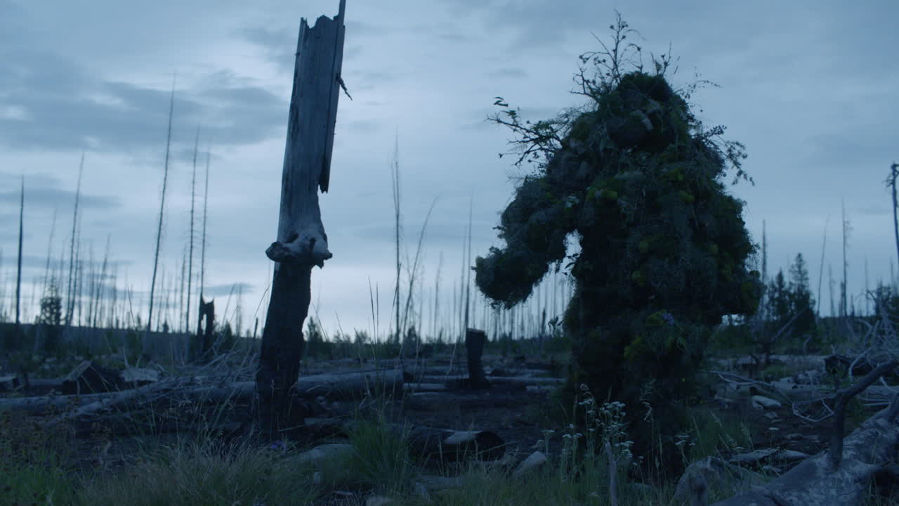 Un cacciatore con una tuta mimetica ghillie fatta di ramoscelli e foglie cammina nell'erba.