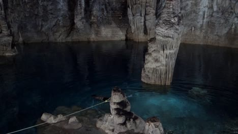 man swims in crystal clear waters of underground cenote