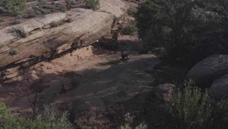 Luftaufnahme-über-Den-Riesigen-Canyons-Der-Moab-Wüste-Bei-Sonnenuntergang