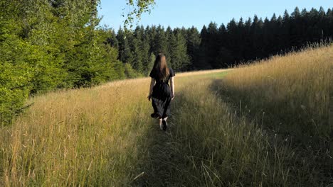 girl with a long dress in a black dress is walking along a path in tall grass