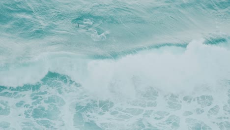 a large goup of dolphins catching a wave and jumping