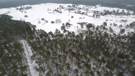 Volando-Sobre-árboles-Cubiertos-De-Nieve-Y-Dunas-De-Arena