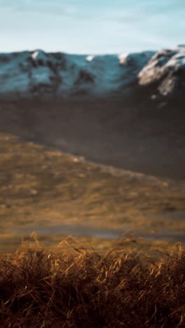 majestic mountain landscape with grass in the foreground