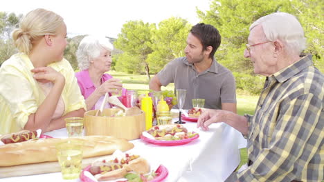 Familienpicknick