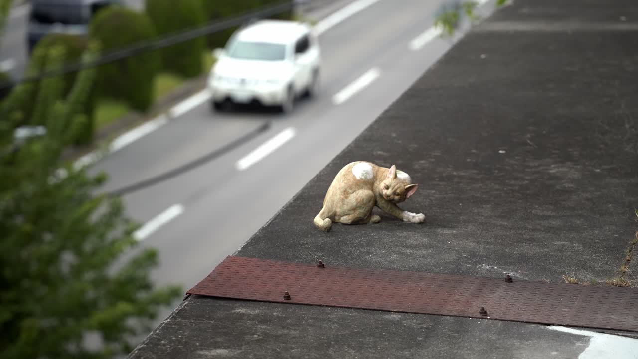 Beckoning Cats Sculptures on the Streets of Tokoname City (Aichi, Japan)
