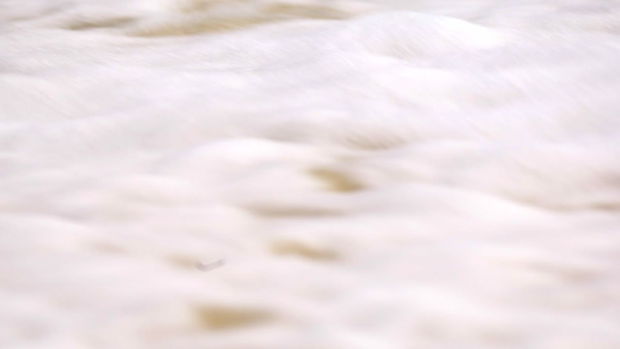 краб-призрак роется в песке, чтобы защититься от хищников и волн