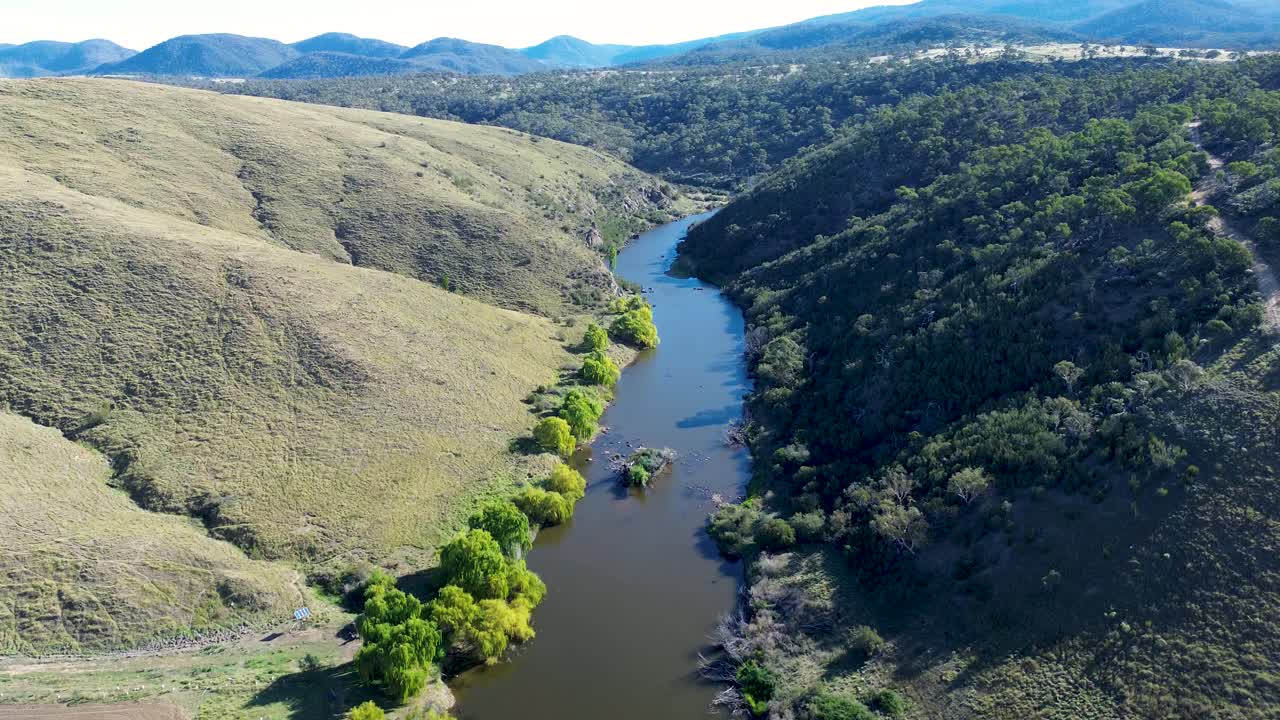 Drone aerial landscape of willow trees along creek stream riverbed water embankment in Bredbo valley with bushland forest mountain range Australia outdoors hiking trails nature rural town travel