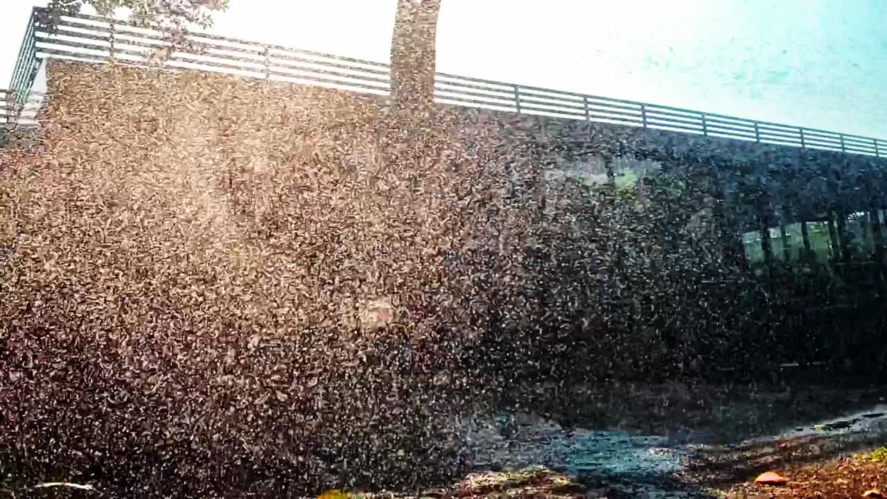 aspersor regando un jardín en cámara lenta