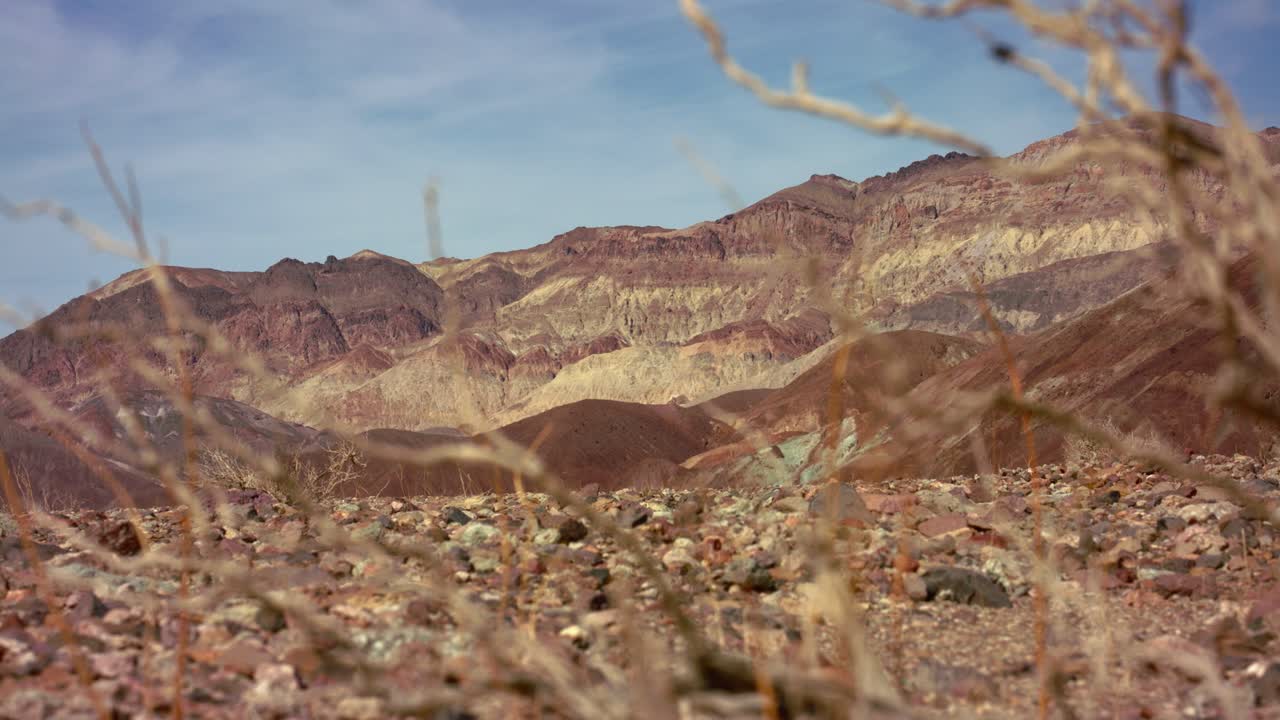 Desert Landscape with Colorful Mountains and Dry Branches