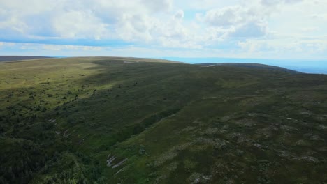 Schöne-Grüne-Landschaft-Von-Högfjällshotellet,-Sälen,-Dalarna,-Schweden---Luftbild