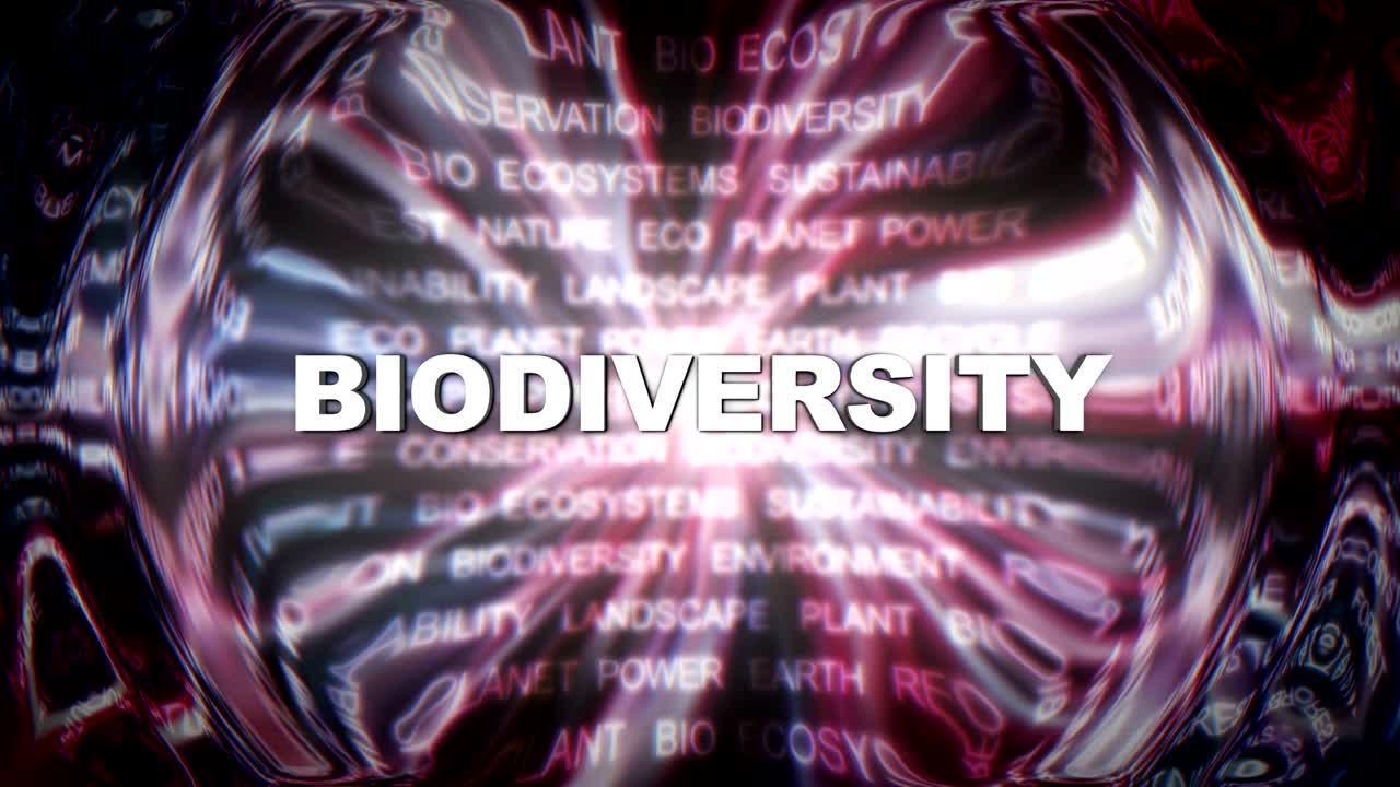 생태학 키워드 오류 폭발, 렌더링, 애니메이션, 배경, 루프