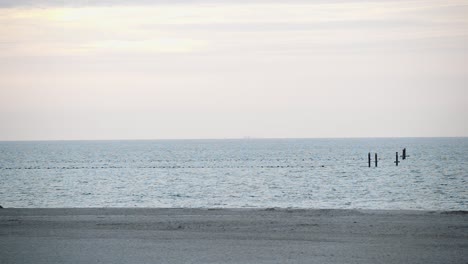 wide shot over a deserted sandy beach and the sea with buoys demarcating a swimming area