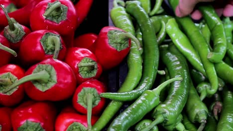 Man-Buying-Vegetable-And-Fruit-In-Greengrocer-12