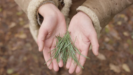 Hands-holding-leaves-in-woodland-area